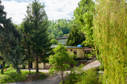 Lichtblick Hofblick