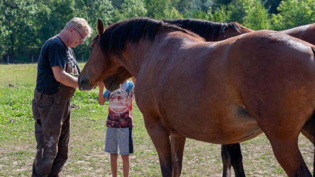 tiergestützt - Kind/Pferd1