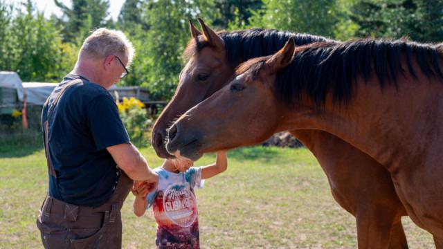 tiergestützt - Kind/Pferd2