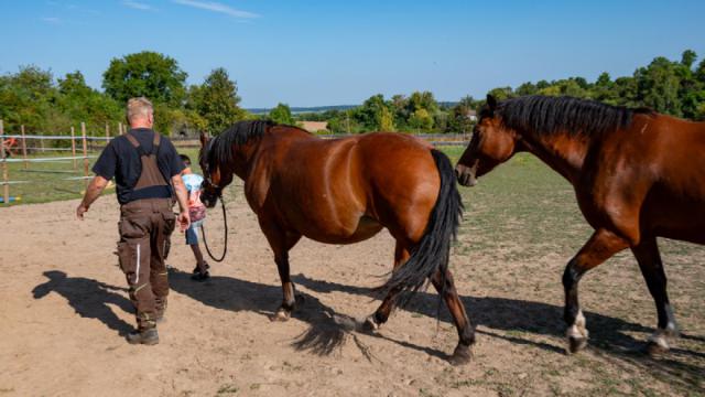 tiergestützt - Kind/Pferd3