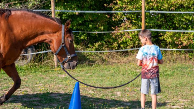 tiergestützt - Kind/Pferd4