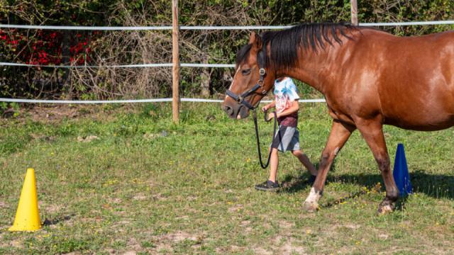 tiergestützt - Kind/Pferd5
