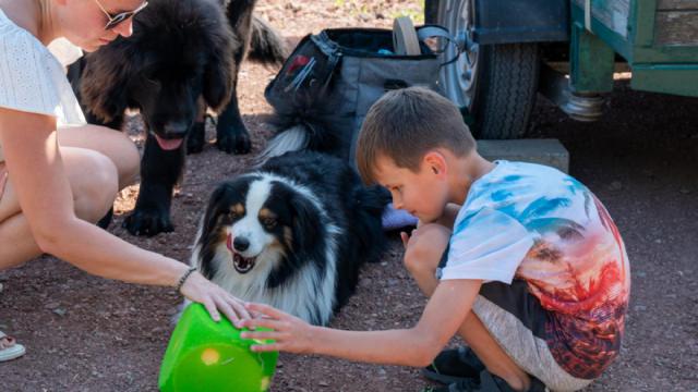 tiergestützt - Kind/Hund1