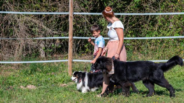 tiergestützt - Kind/Hund2