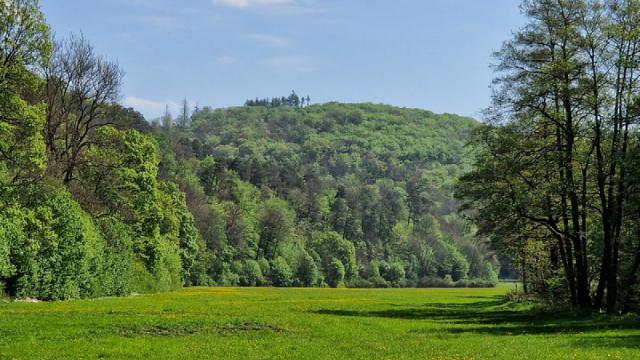 Selketal - Talblick